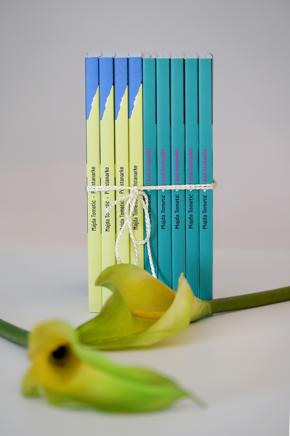 Roman Podstanarke - intiman roman koji propitkuje granice u nama; Majda Tometić